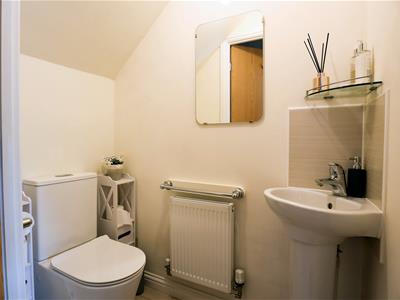 Picture 24